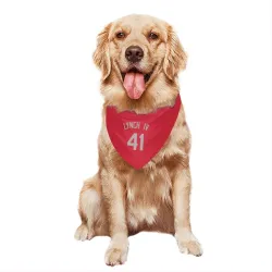 Kansas City Royals Daniel Lynch IV Red Gray Pet Bandana for Dog & Cat
