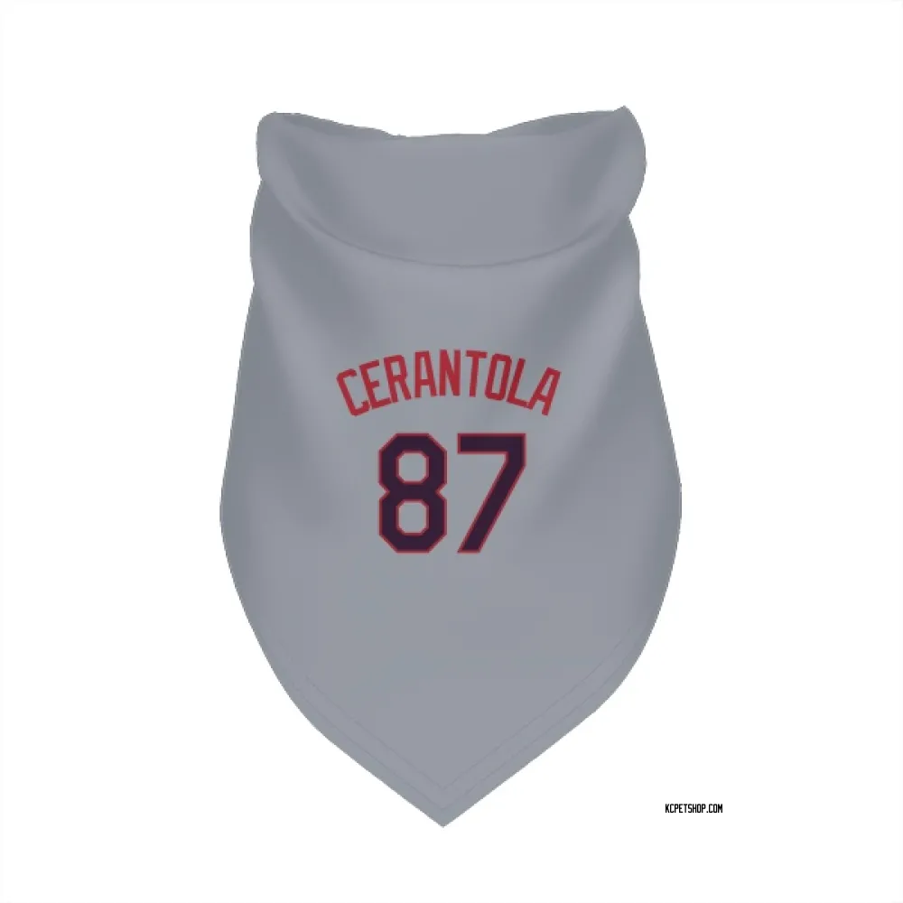 Kansas City Royals Eric Cerantola Gray Pet Bandana for Dog & Cat