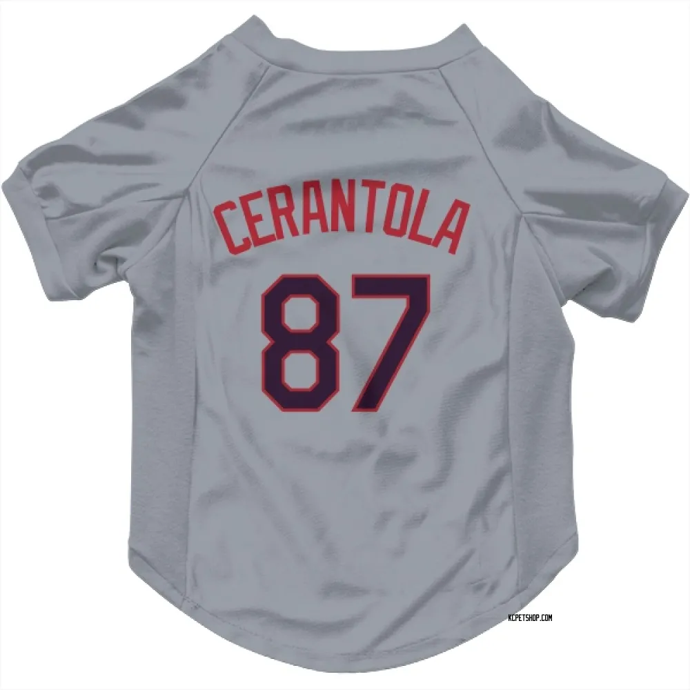 Kansas City Royals Eric Cerantola Gray Pet Jersey for Dog & Cat