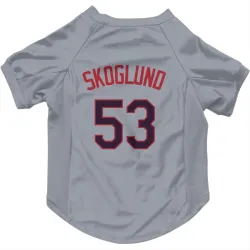 Kansas City Royals Eric Skoglund Gray Pet Jersey for Dog & Cat