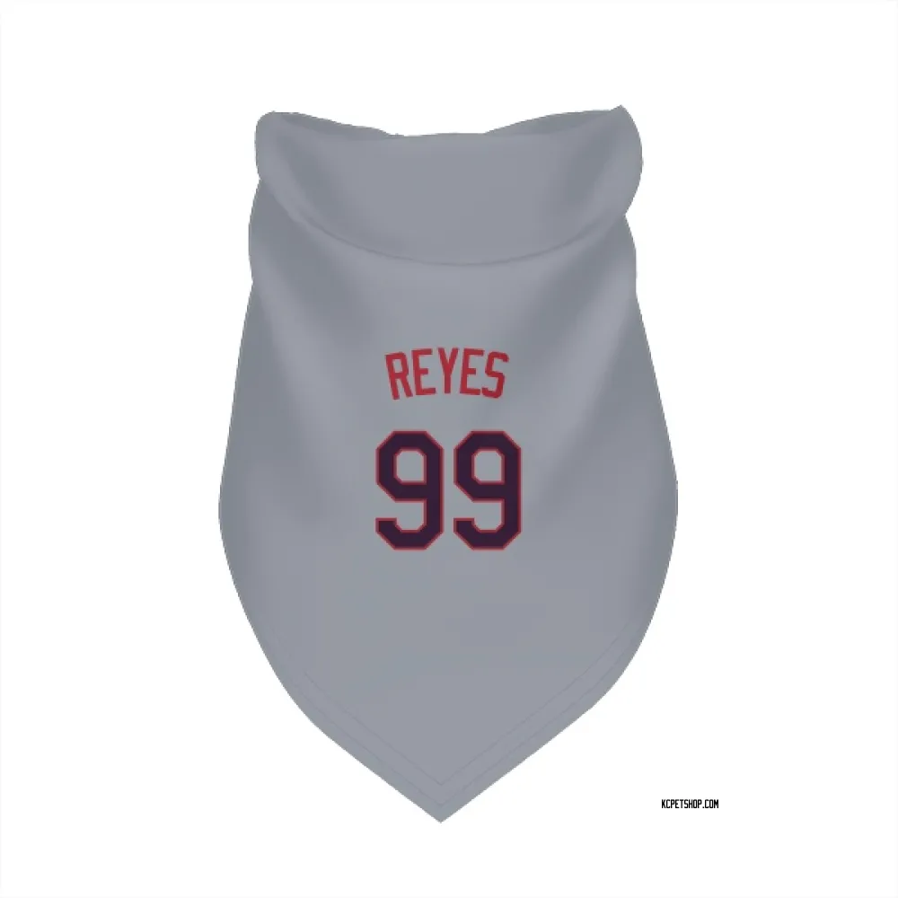 Kansas City Royals Franmil Reyes Gray Pet Bandana for Dog & Cat