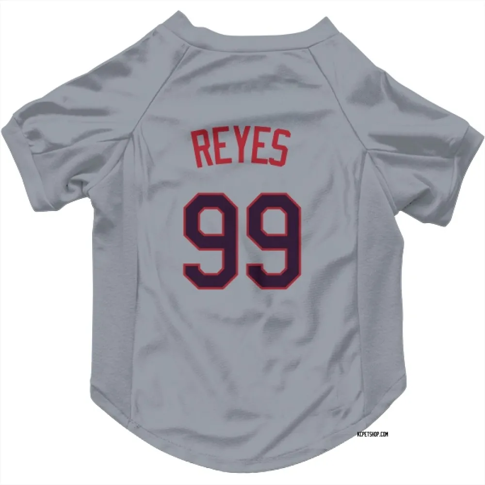 Kansas City Royals Franmil Reyes Gray Pet Jersey for Dog & Cat