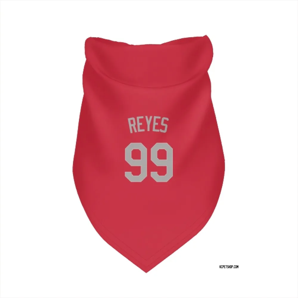 Kansas City Royals Franmil Reyes Red Gray Pet Bandana for Dog & Cat