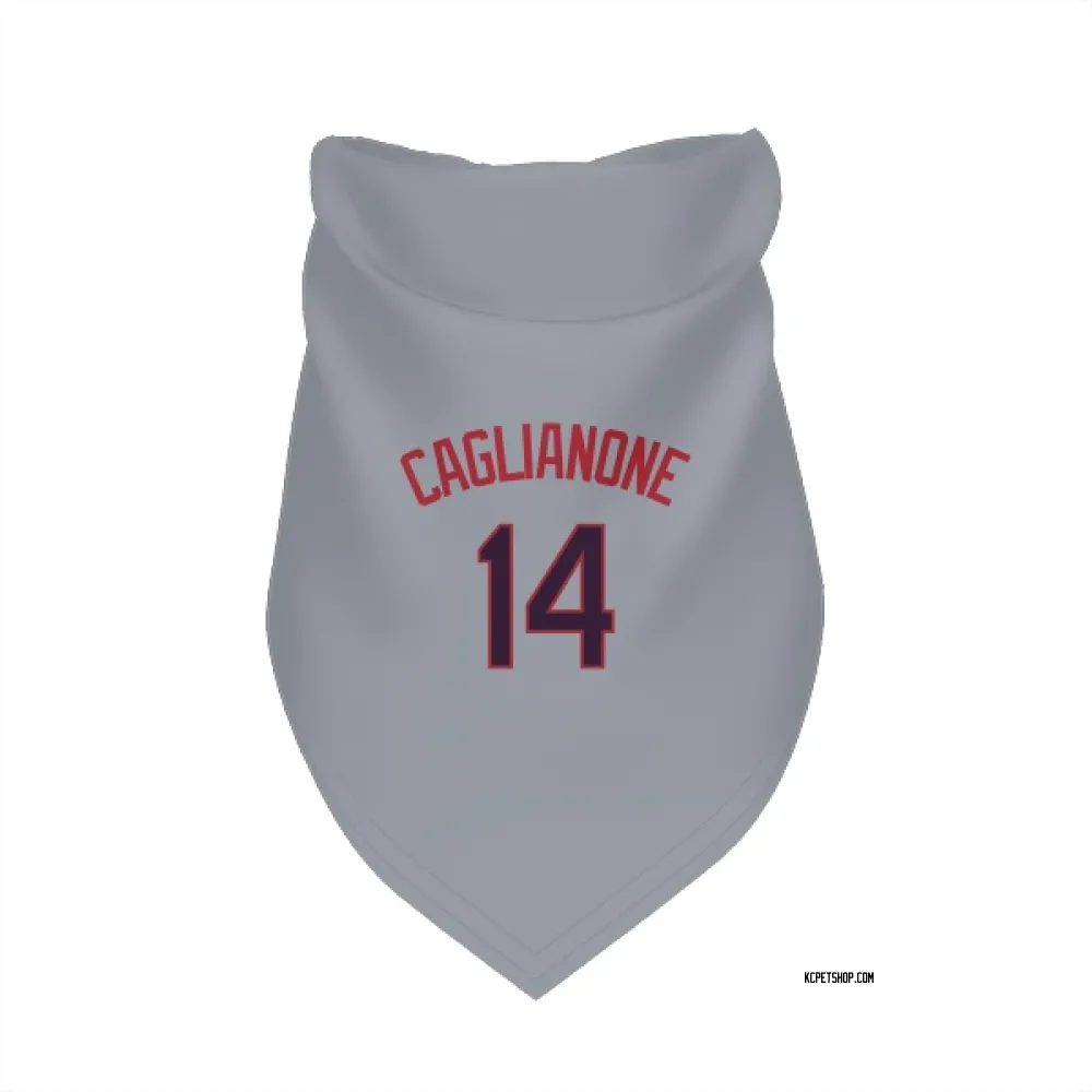 Kansas City Royals Jac Caglianone Gray Pet Bandana for Dog & Cat