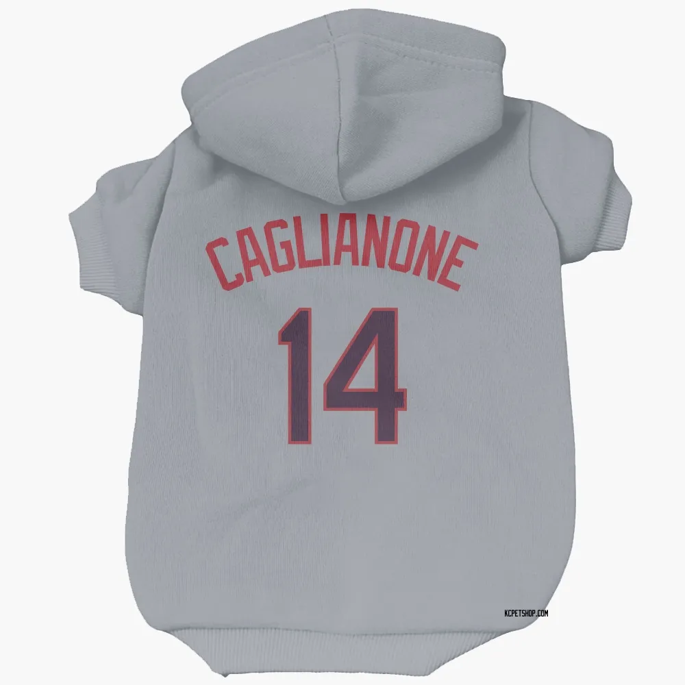 Kansas City Royals Jac Caglianone Gray Pet Hoodie for Dog & Cat