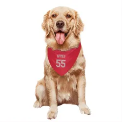 Kansas City Royals Kevin Appier Red Gray Pet Bandana for Dog & Cat
