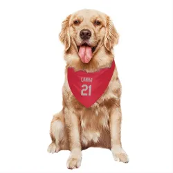Kansas City Royals Mark Canha Red Gray Pet Bandana for Dog & Cat