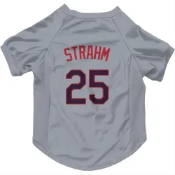 Kansas City Royals Matt Strahm Gray Pet Jersey for Dog & Cat