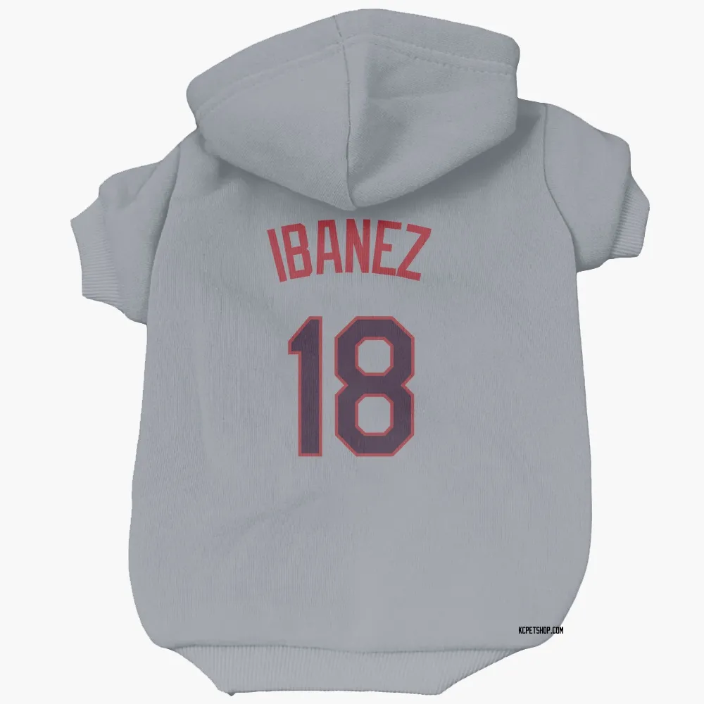 Kansas City Royals Raul Ibanez Gray Pet Hoodie for Dog & Cat