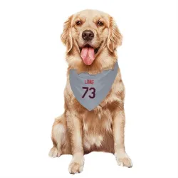 Kansas City Royals Sam Long Gray Pet Bandana for Dog & Cat