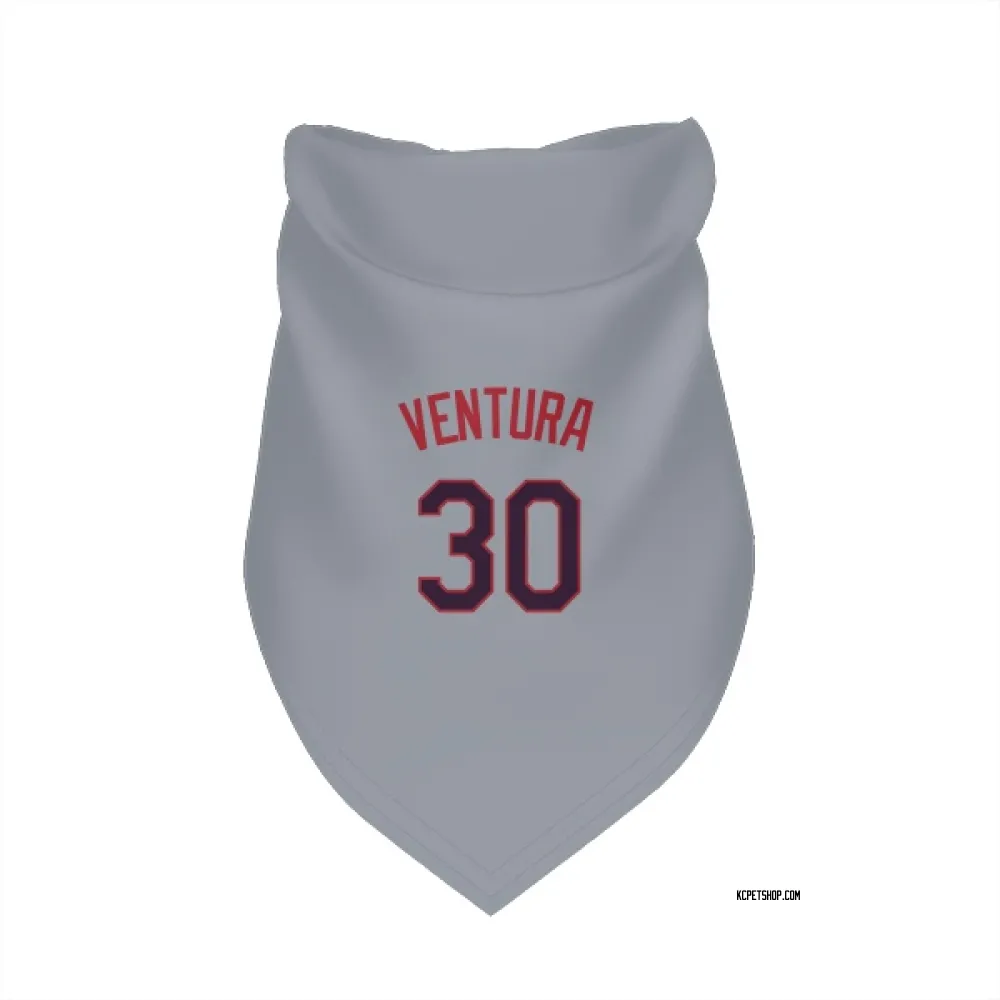 Kansas City Royals Yordano Ventura Gray Pet Bandana for Dog & Cat
